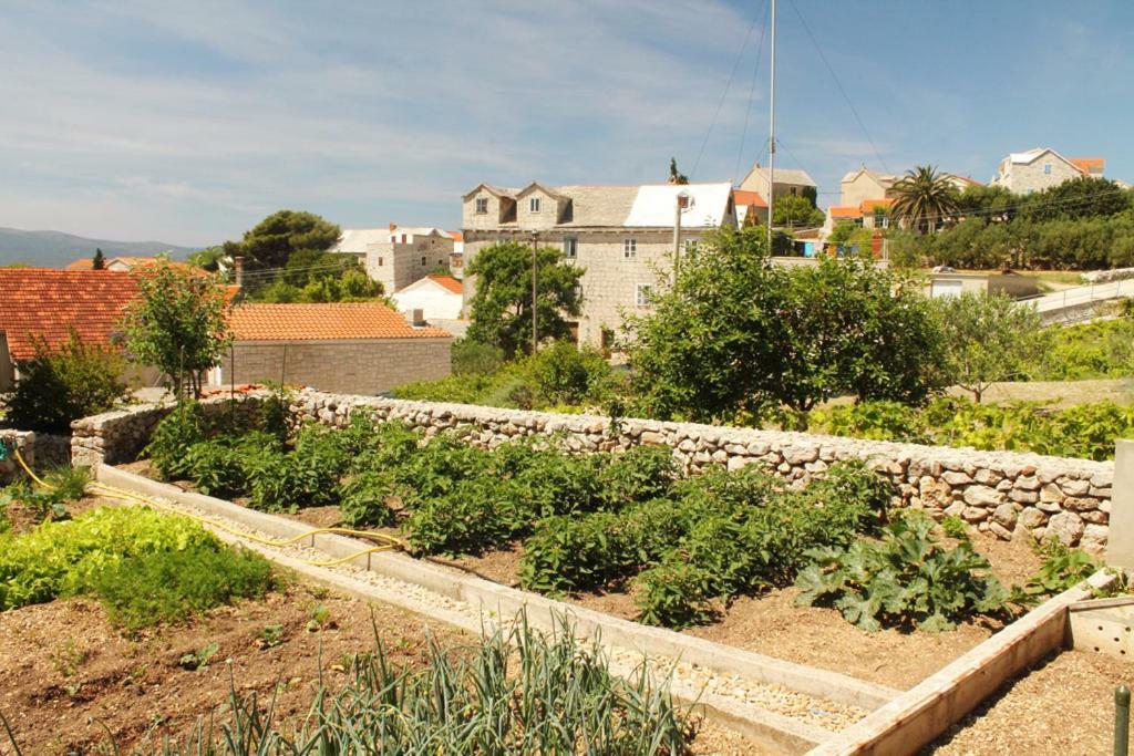 Apartments Nejasmic - Little House For Peaceful And Domestic Vacation Bol Exterior photo